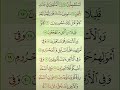 آيات من القرآن الكريم سورة الحجر الآية 15