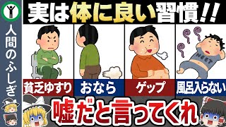 【ゆっくり解説】実は体に良い習慣9選