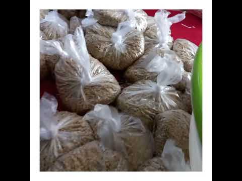 نذر دادن باید اینجوری باشه