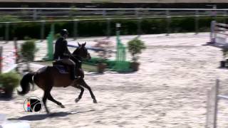 Ulpien d'Elle - Cycle Clasique 6 ans Q Saint Lô 2014