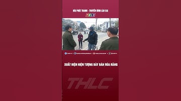 Xuất hiện hiện tượng bày bán rùa răng | THLC