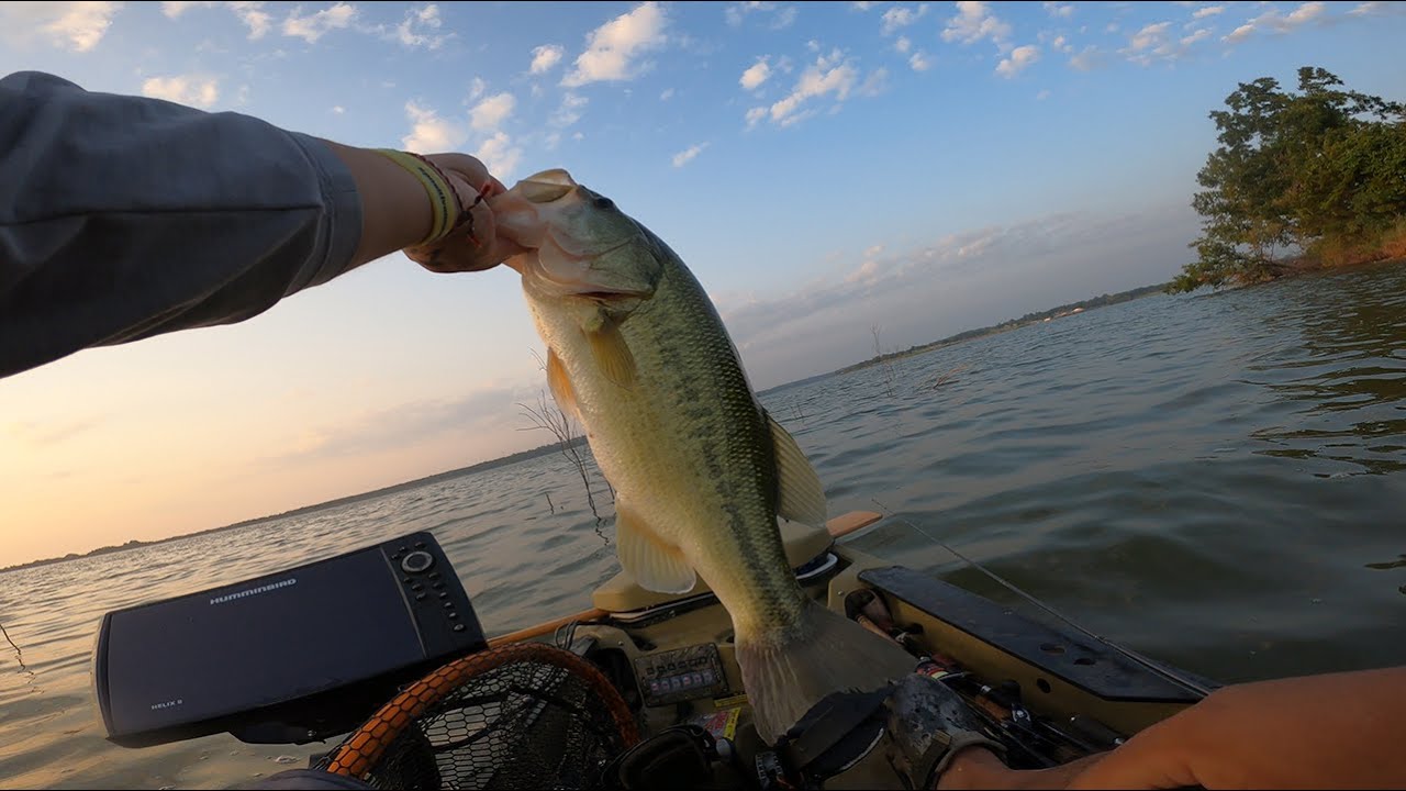 No Game Plan, Just Fish Everything Carl Blackwell Lake Oklahoma