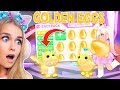 OPENING GOLDEN EGGS And Getting STAR REWARDS In Adopt Me! (Roblox)