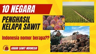 10 Negara Penghasil Kelapa Sawit Terbesar di Dunia