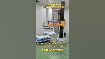 CMT 포대 적재기 😎 #palletizer #depalletizing #automation #manufacturer #robot #포대 #마대 #적재 #컨베어