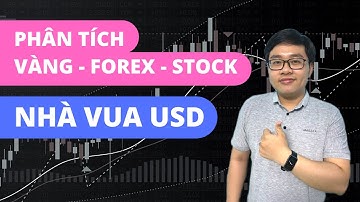 Phân Tích Vàng - Forex - Stock Theo Bob Volman Price Action | 1/5 | Nhà Vua USD
