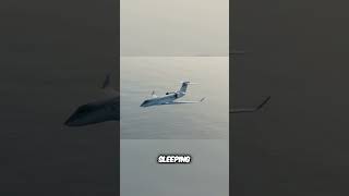 Elon Musk's Private Jet Fleet  Exploring the Luxurious Gulfstream #money #wealth #luxurylifestyle screenshot 1