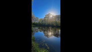 10 Acres for Sale Warrenton MO Pond Outbuildings Hobby Farm Opportunity #shorts