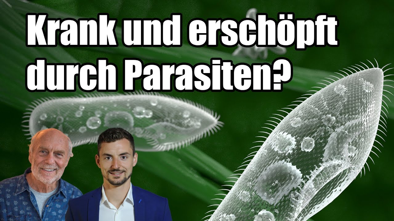 Lithium - ein neues, essentielles Spurenelement? - Volker Schmiedel interviewt Michael Nehls