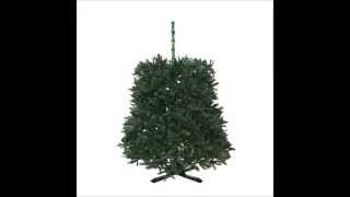 Xmasdirect - Building a Cambridge Fir Christmas Tree