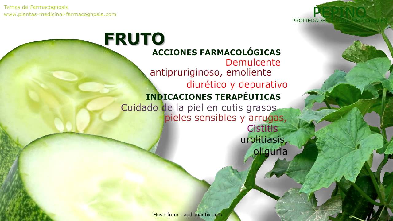 propiedades del pepino cohombro para la piel propiedades del pepino cohombro para la piel