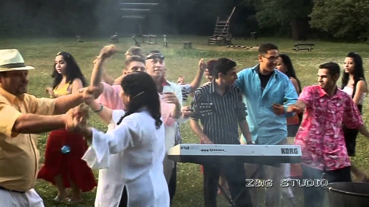 Aranyszemek ZGSTUDIO VIDEÓ OFFICIAL ZGSTUDIO █▬█ █ ▀█▀