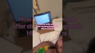 I Understand Math Now