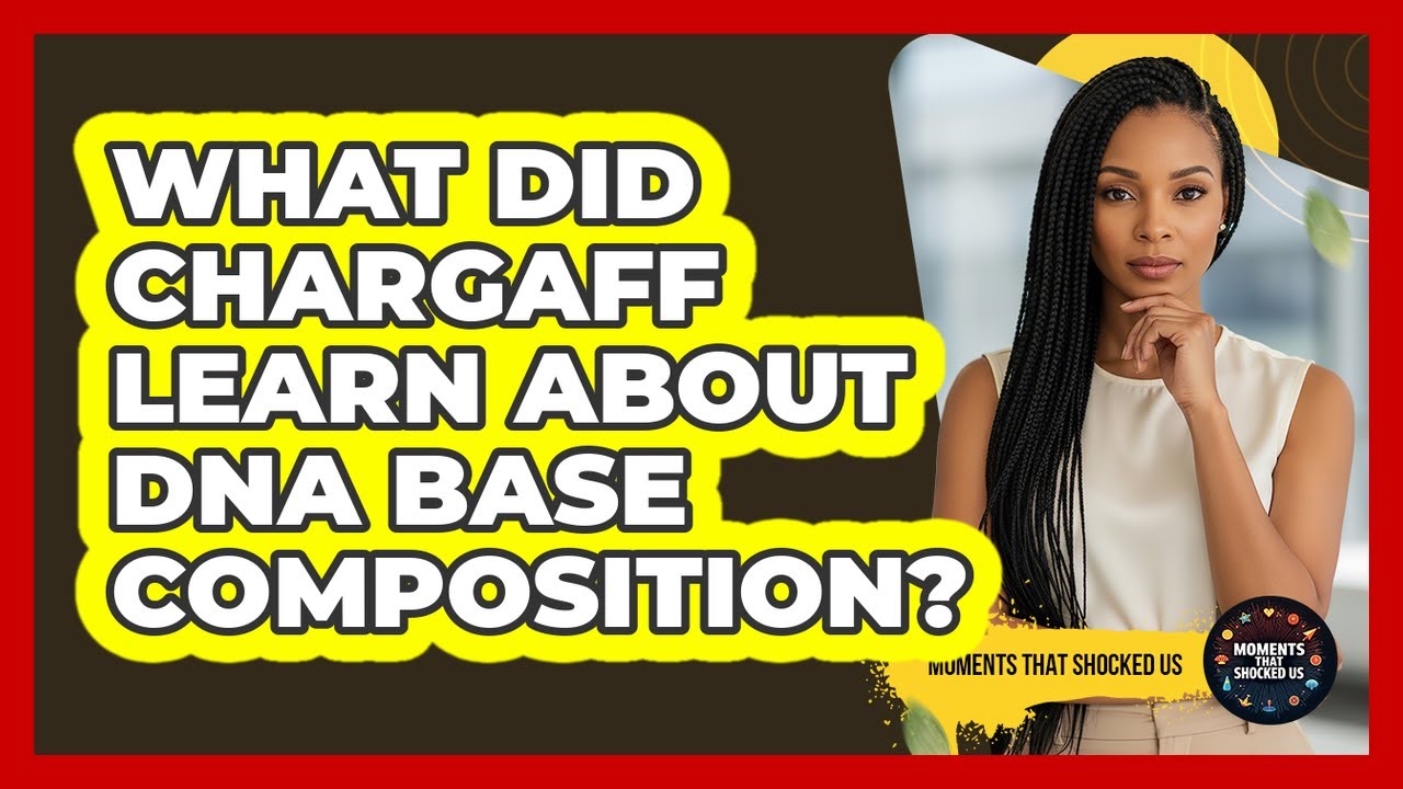 What Did Chargaff Learn About DNA Base Composition?
