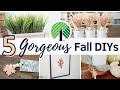 5 GORGEOUS DOLLAR TREE FALL DIYs | Neutral Fall Decor DIYs