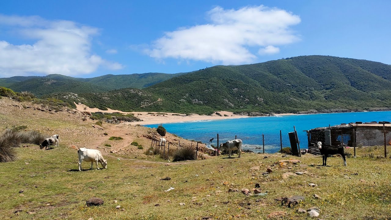 🔴 شاطئ سيدي عكاشة  🇩🇿