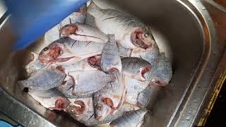 Cách làm món cá rô phi chiên giòn ngon tốn cơm