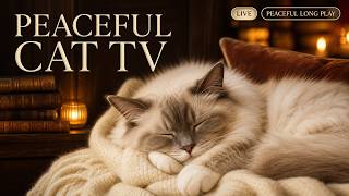 Gentle TV for Cats LIVE 24/7 | Soft Music & Peaceful Nature | No Ads screenshot 5