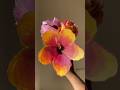 DIY Hibiscus Flower | DIY Paper Hibiscus Flower | How to make Hibiscus 🌺 #diy #craft #shortsviral
