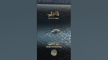 سورة#المنافقون#القارئ#عبق#التلاوات#القرآن#الكريم#تلاوة_خاشعه