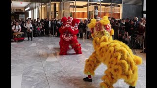 Chinese Lunar New Year Lion Dance, part 1