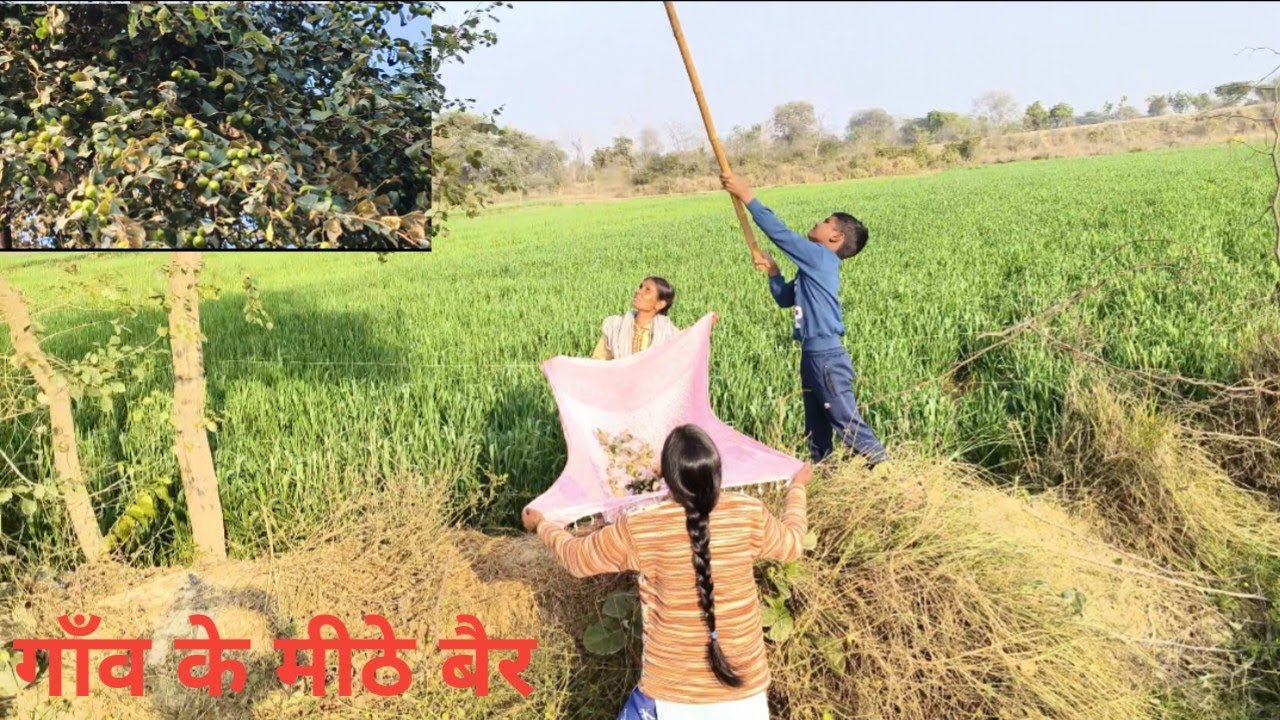 हम लोग आए तोड़ने बैर।। Kusum nand vlog 