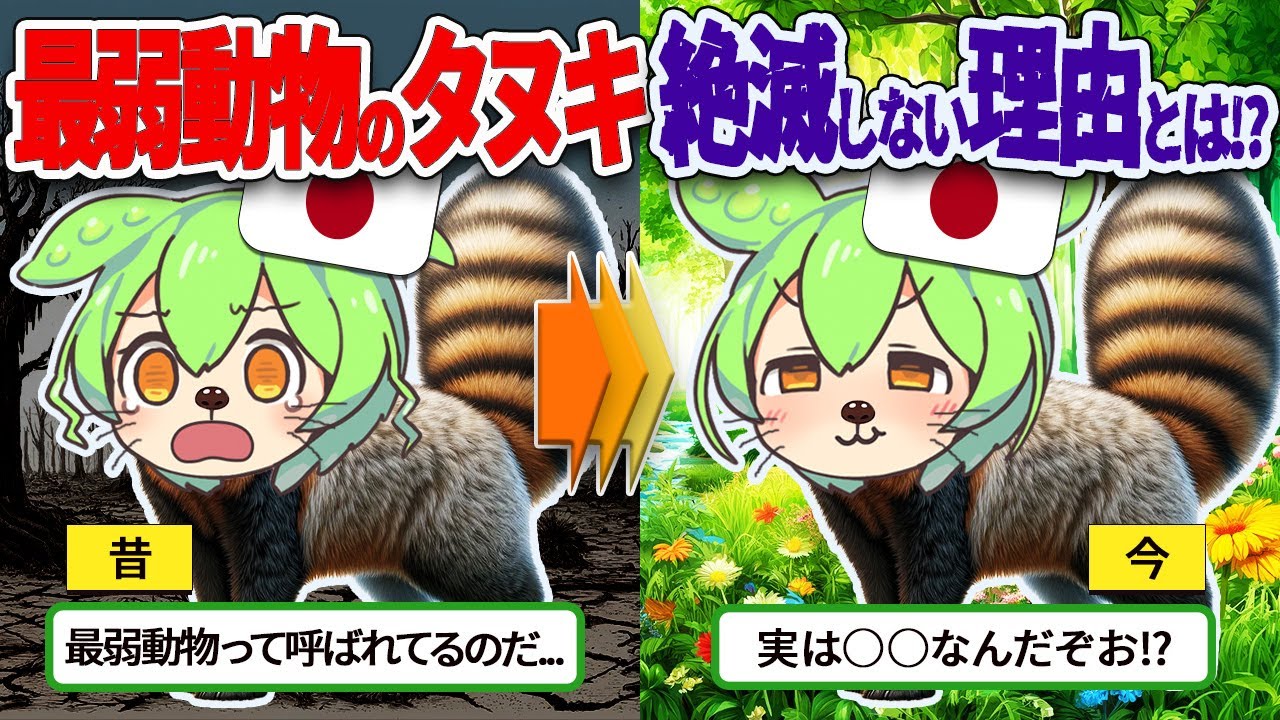 【よわすぎ】最弱動物タヌキはなぜ絶滅しなかったのか？【ずんだもん ゆっくり解説】
