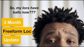 What I learned on my FREEFORM LOCS journey | My 3 Month Update