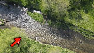 Exploring and Fishing a BEAUTIFUL Midwest Creek - It Was LOADED! (Fish After Fish) 