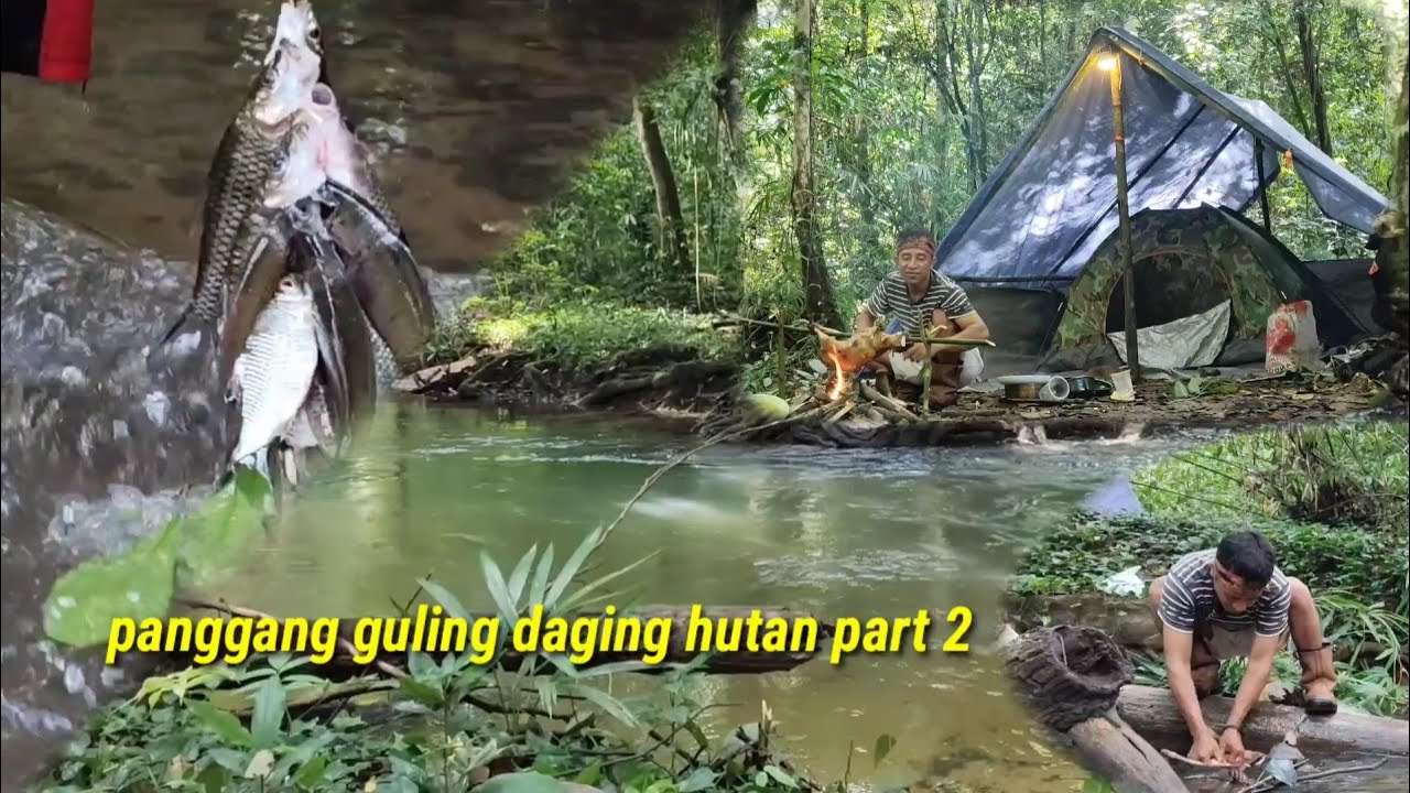 CAMPING SURVIVAL MASAK HASIL BURUAN DI HUTAN RIMBA KAlIMANTAN