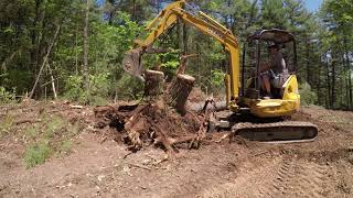 Clearing land the quick way (second clearing on this job)