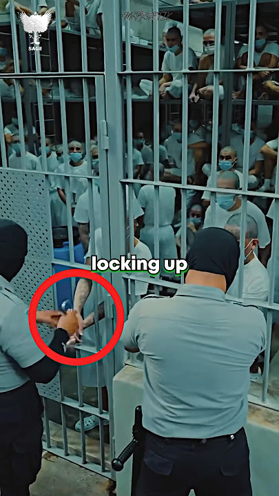 Guy Who Saved El Salvador