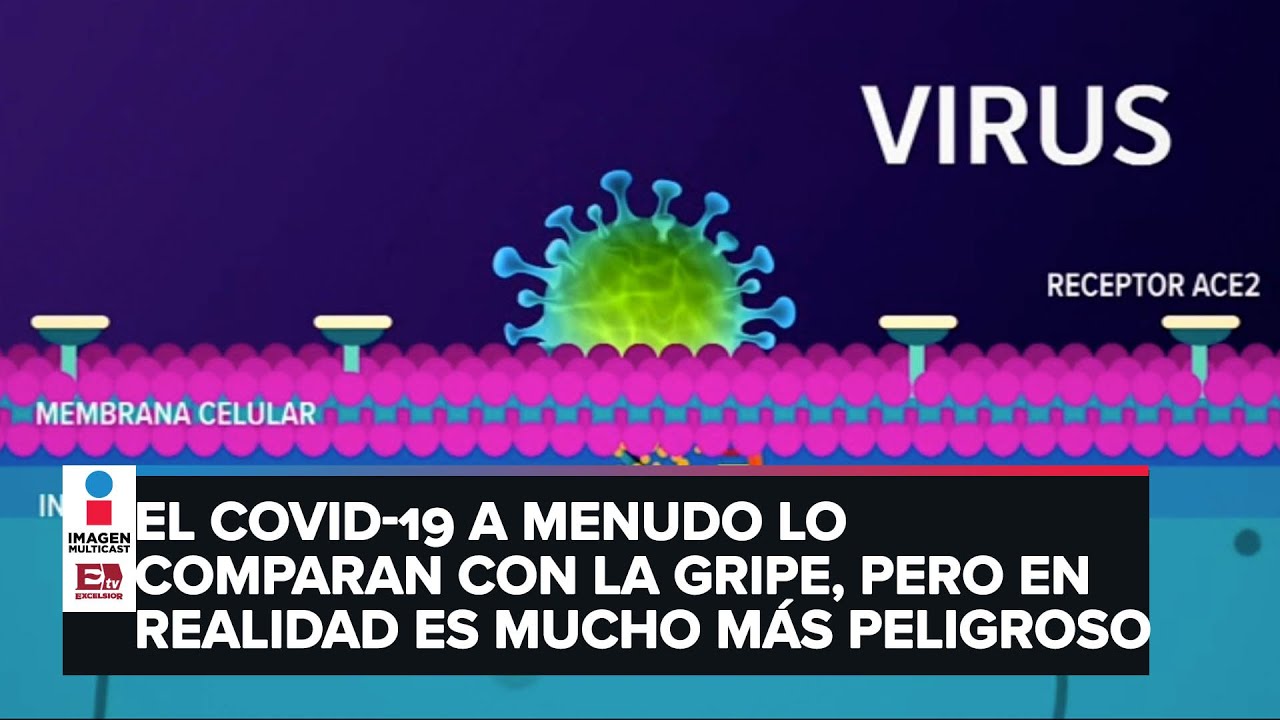 Cuánto tiempo tarda el cuerpo en entrar en cetosis