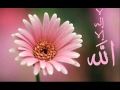 لا اله الا الله ( محمد منير )