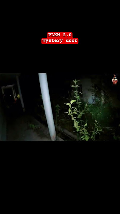 Download lagu #dpanahonexplorer #horror #mra #dpe Flashback : pintu yang seharusnya tidak di usik...