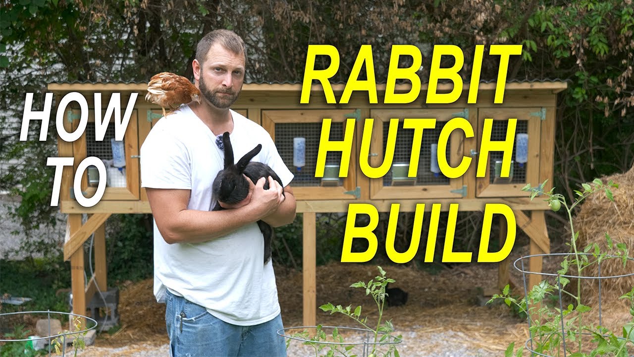 Rabbit Hutch - Predator Proof - How To Build