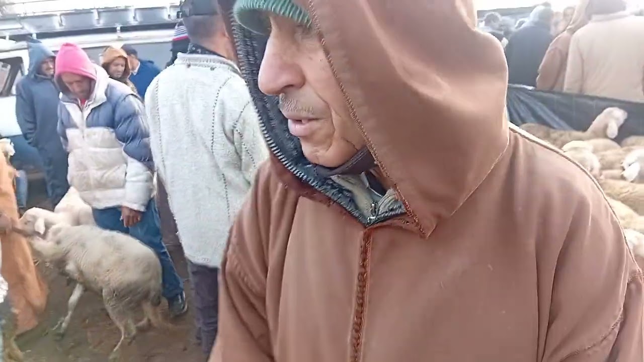 مباشرة من سوق الأسبوعي سوق السبت اولاد نمى بتاريخ 07\02|2026