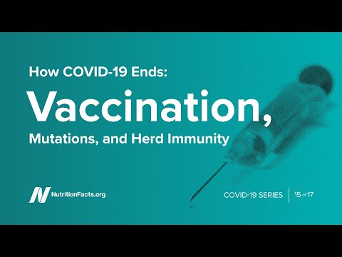 How COVID-19 Ends: Vaccination, Mutations, and Herd Immunity