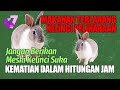 8 Makanan yang Perlu Dihindari untuk Kesehatan Anda
