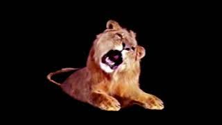 MGM Leo The Lion Extended On Footage Video