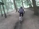 Shuttle day at the Forest of Dean