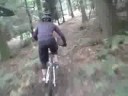 Shuttle day at the Forest of Dean