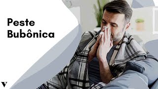 Veja a Causa da Peste Bubônica e Seus Sintomas