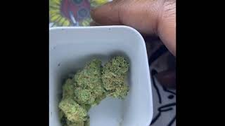 Lamb's Breath: Unveiling a Indica Sensation