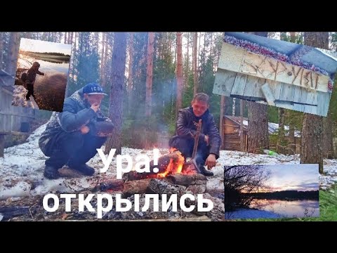 Это просто СУПЕР!! Открываем РЫБОЛОВНЫЙ СЕЗОН 2025! Рыбалка с ночёвкой в лесу. Донки рулят.