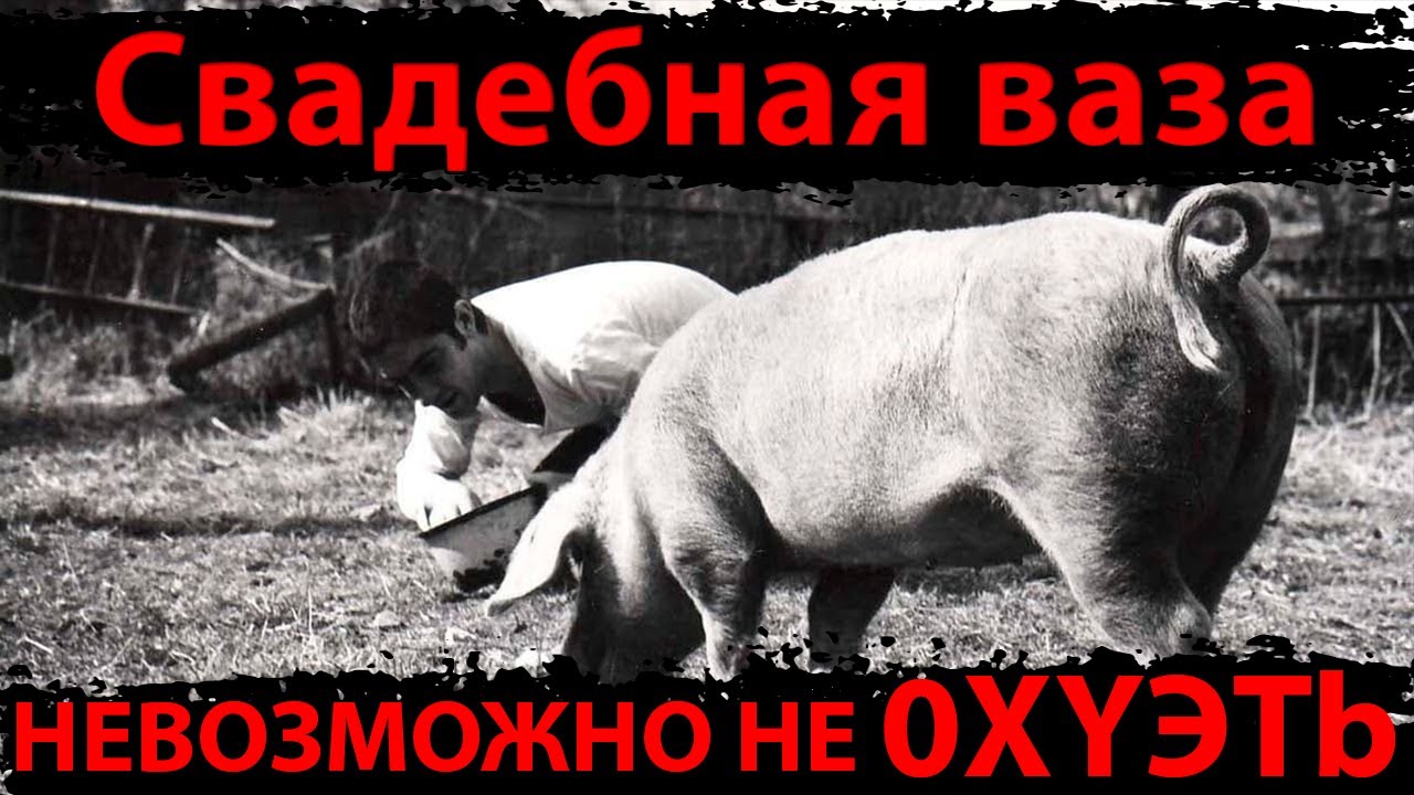 Свадебная ваза фильм сюжет