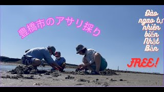 豊橋市のアサリ採り- cào ngao free bãi biển tự nhiên-Hoạt động gia đình