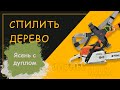 Ясень с дуплом Спилить аварийное дерево