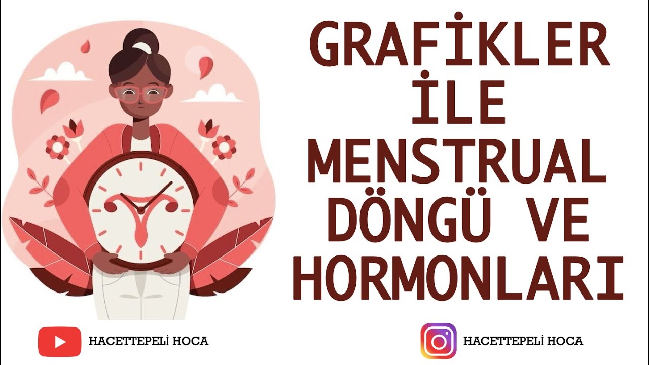 253 | ÜREME SİSTEMİ-6|GRAFİKLER İLE MENSTRUAL DÖNGÜ HORMONLARI | AYT | @Hacettepeli Hoca Biyoloji