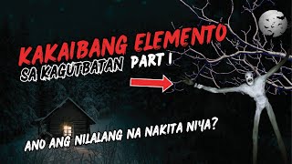 PART 1: CABIN IN THE WOODS (BASED ON A TRUE STORY)